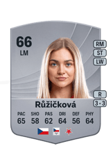 Růžičková 66