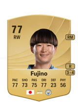 Fujino 77