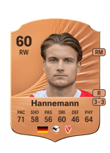 Hannemann 60