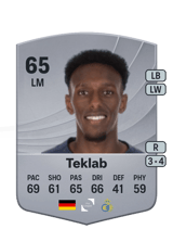Teklab 65