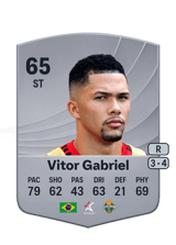 Vitor Gabriel 65