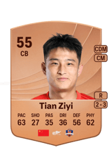 Tian Ziyi 55