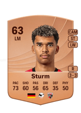 Yann Sturm 63