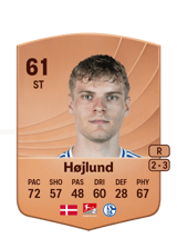 Højlund 61