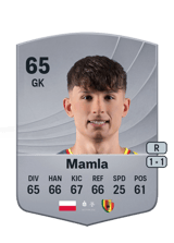Mamla 65