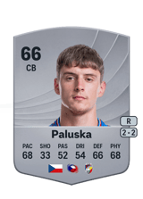 Paluska 66
