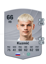 Kuzmić 66