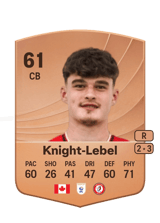 Knight-Lebel 61