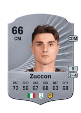 Zuccon 66