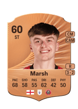 Marsh 60