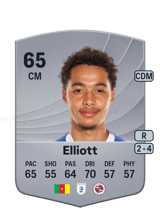 Elliott 65