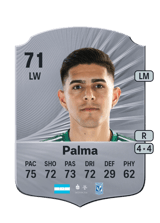 Palma 71