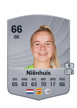 Niënhuis 66