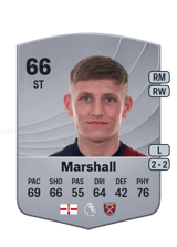 Marshall 66