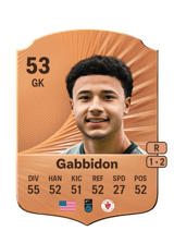 Gabbidon 53