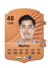 Meitei 48