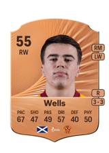 Wells 55