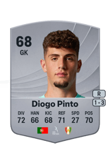Diogo Pinto 68