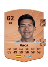 Vaca 62