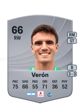 Verón 66