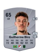 Guilherme Biro 65