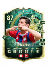 Pizarro 87
