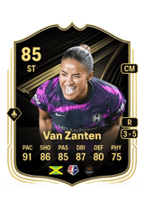 Van Zanten 85