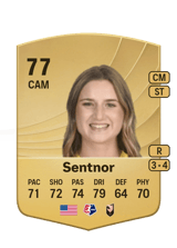 Sentnor 77