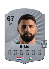 Brkić 67