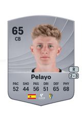 Pelayo 65
