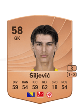 Šiljević 58