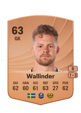 Wallinder 63