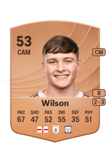 Wilson 53