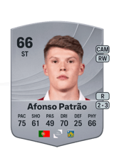 Afonso Patrão 66