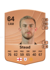 Stead 64