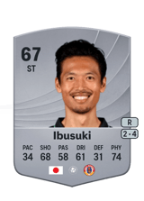 Ibusuki 67
