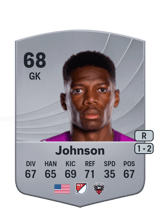 Johnson 68