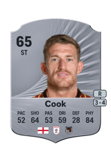 Cook 65