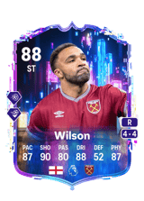 Wilson 88