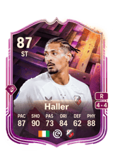 Haller 87