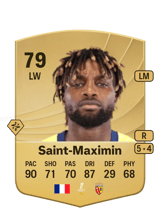 Saint-Maximin 79