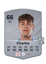 Charles 66