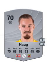 Haug 70