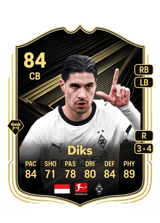 Diks 84