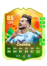 Cesinha 85