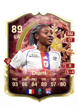 Diani 89
