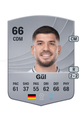 Gül 66
