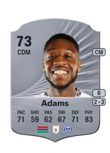 Adams 73