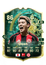 Doan 86