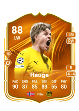 Hauge 88